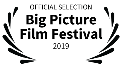 Big Picture Festival Logo