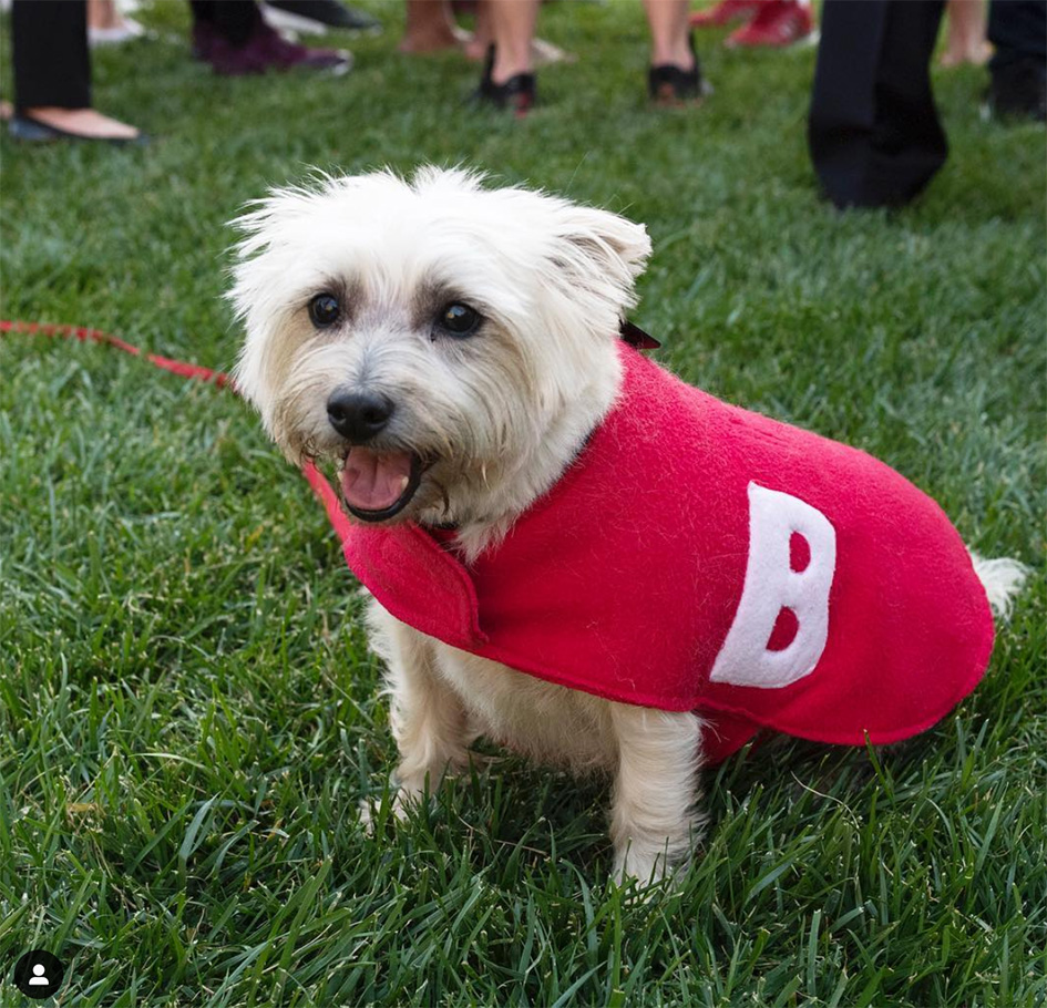 12 Things Bradley Students Want You To Know, First-Year Admission, Admission