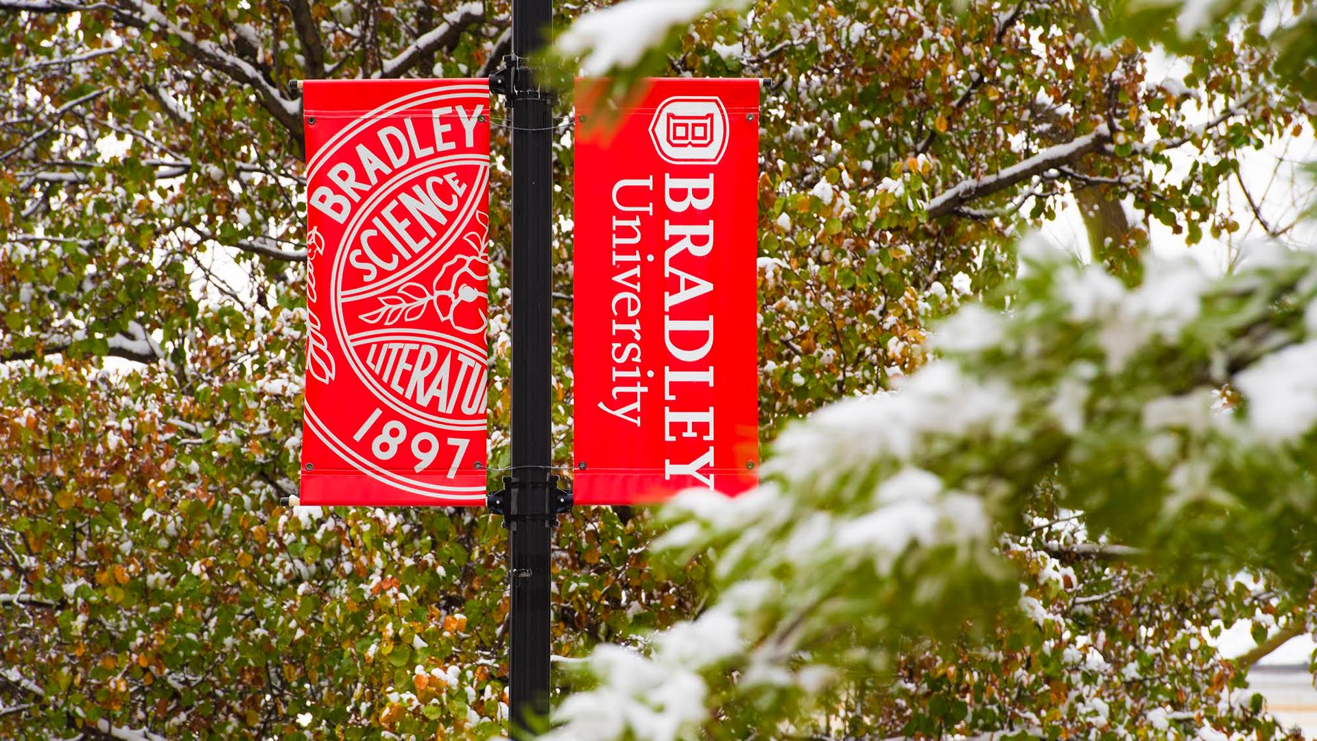 bradley-ranked-among-best-in-nation-for-internships-media-releases-communications-and-media