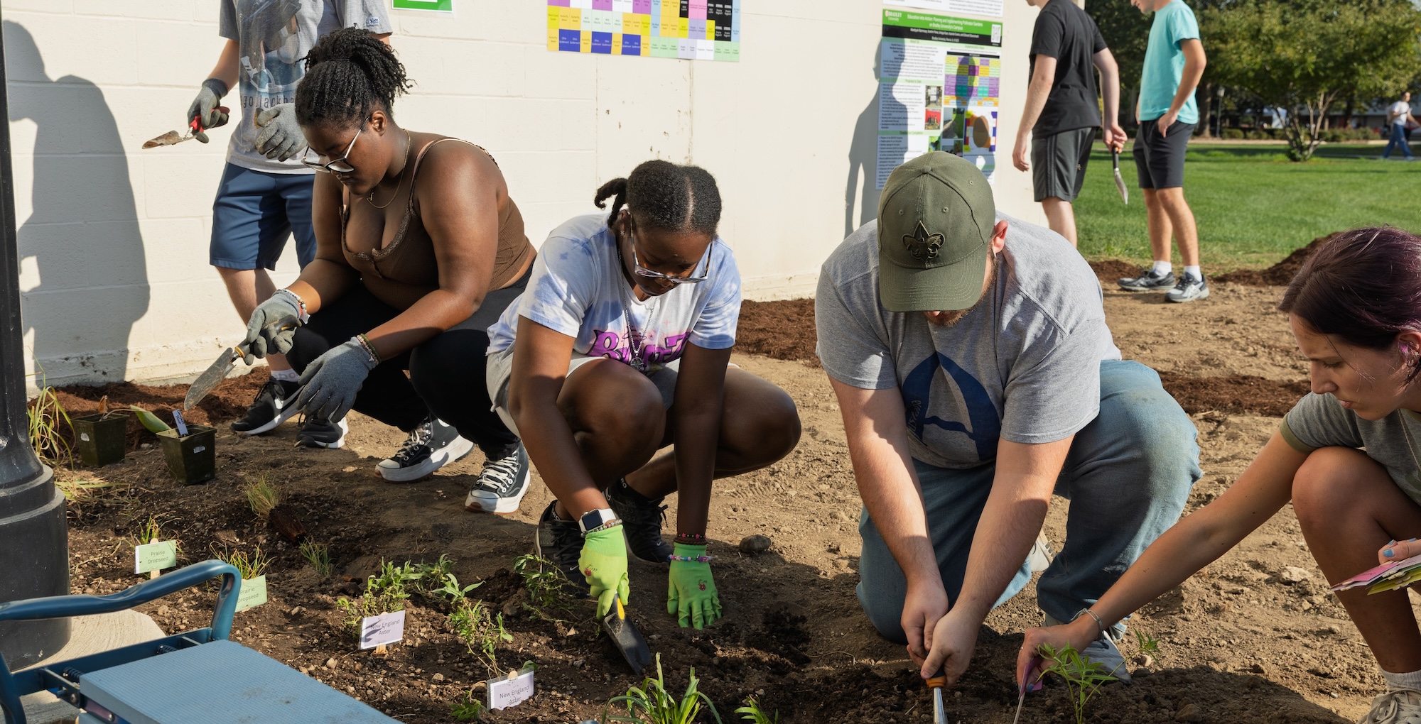 Students from across disciplines dig in the dirt as part of the build for Bradley's new pollinator garden.