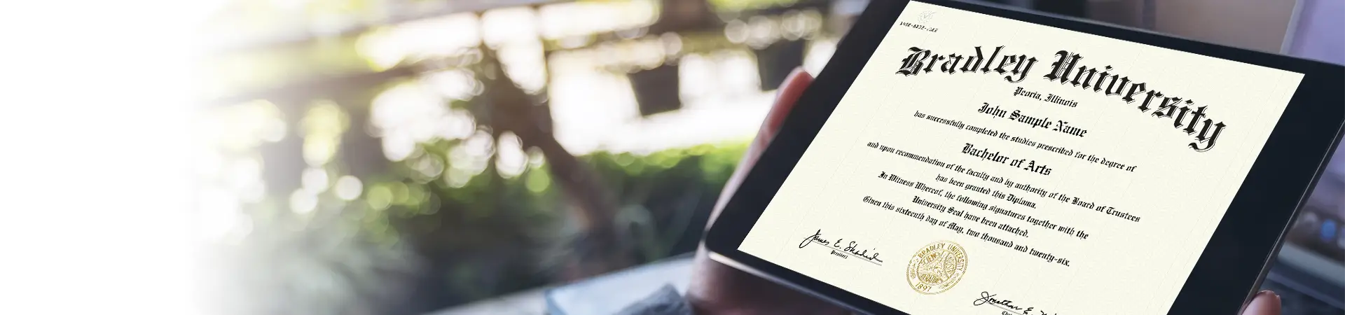 A sample Bradley diploma certificate